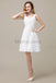 Simple V-Neck Chiffon Bridesmaid Dresses